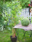 Bamboo deluxe, artificial plant, 150cm