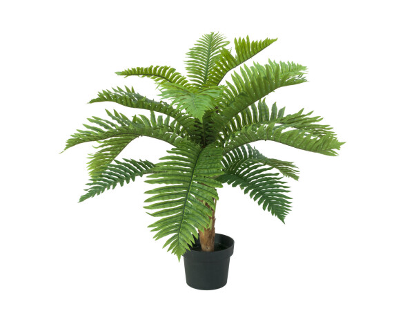 Cycas palm tree, artificial plant, 70cm
