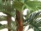 Kentia Palme, Kunstpflanze, 150cm