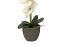 Orchidee, Kunstpflanze, cremefarben, 80cm
