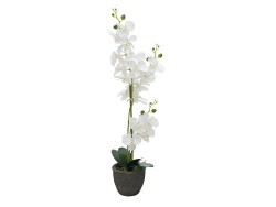 Orchidee, Kunstpflanze, weiß, 80cm