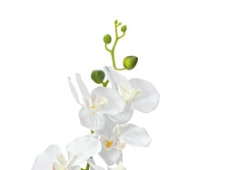 Orchidee, Kunstpflanze, weiß, 80cm