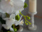 Orchid, artificial plant, white, 80cm
