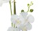 Orchid, artificial plant, white, 80cm