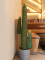 Mexican cactus, artificial plant, green, 117cm