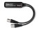 Audinate Dante Avio Analog Output Adapter, Stereo