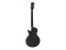 LP-530 E-Gitarre, schwarz/gold