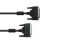 ILDA cable 10m