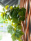 Grape bush, premium, artificial, 50cm