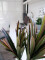 Dracena, artificial, 120cm