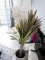 Dracena, artificial, 120cm