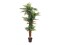 Areca palm, artificial plant, 170cm