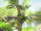 Parlor palm, artificial plant, 150cm