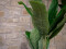 Banana tree, artificial plant, 120cm