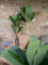 Banana tree, artificial plant, 120cm