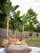 Banana tree, artificial plant, 120cm