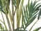Canary date palm, artificial plant, 240cm
