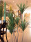 Yucca Palme, Kunstpflanze, 130cm