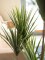 Yucca Palme, Kunstpflanze, 130cm