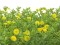 Grass mat, artificial, green-yellow, 25x25cm