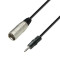 3 STAR BWM 0300 - Balanced Cable | Adam Hall® XLR Male x Minijack | 3 m