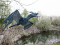 Halloween Flying Dragon, animated, blue, 120cm