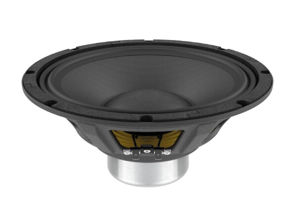 WSN102.50 10" Woofer Ferrite Magnet Steel Basket Driver