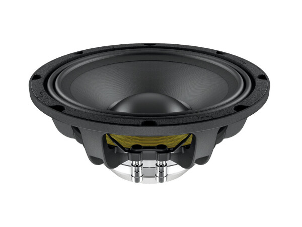 WAN103.01 10" Woofer Neodymium Magnet Aluminium Basket Driver