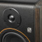 STUDIMON 5 - Moniteur de studio actif 5"