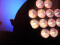 LED IP PAR 12x9W SCL Spot