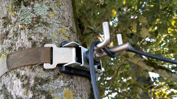 Noleggio: Tendicavo per un semplice fissaggio dei cavi agli alberi/pali