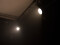 LED SLS-30 COB WW Floor