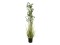 Evergreen shrub with grass, artificial plant, 182cm