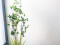 Evergreen shrub with grass, artificial plant, 182cm
