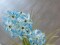 Allium grass, artificial plant, blue, 120 cm