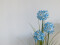 Allium grass, artificial plant, blue, 120 cm