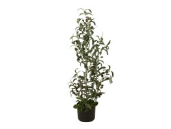 Olive tree, artificial plant, 90 cm
