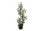 Olive tree, artificial plant, 90 cm