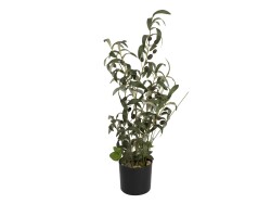 Olive tree, artificial plant, 68 cm