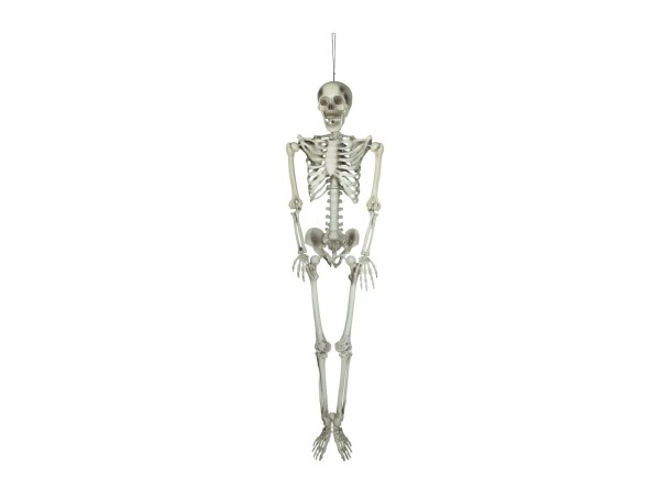 Halloween Skeleton, 150 cm