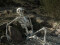 Halloween Skeleton, 150 cm