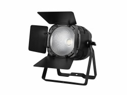 LED Theatre COB 100 WW/CW