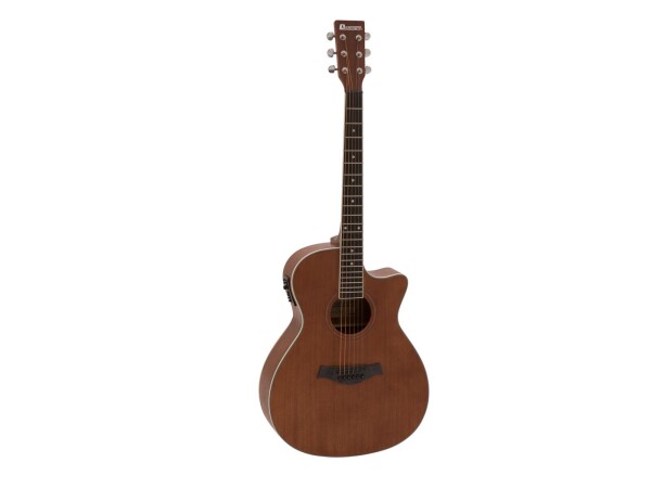 AW-410 Western guitar, Sapele