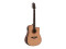 ASW-60 Grande Guitar, nature