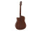 ASW-60 Grande Guitar, nature