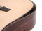 ASW-60 Grande Guitar, nature