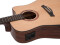 ASW-60 Grande Guitar, nature