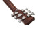 ASW-60 Grande Guitar, nature