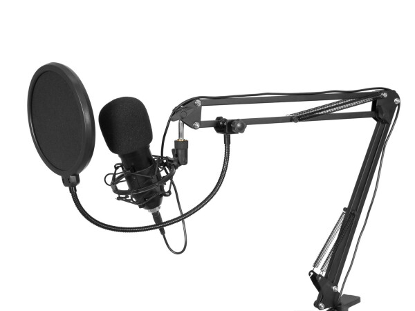 BMS-1C USB Condenser Broadcast Microphone Set