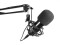 BMS-1C USB Condenser Broadcast Microphone Set